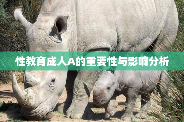 性教育成人A的重要性与影响分析