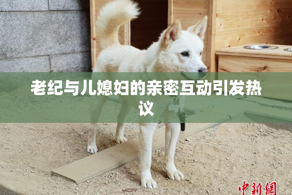 老纪与儿媳妇的亲密互动引发热议