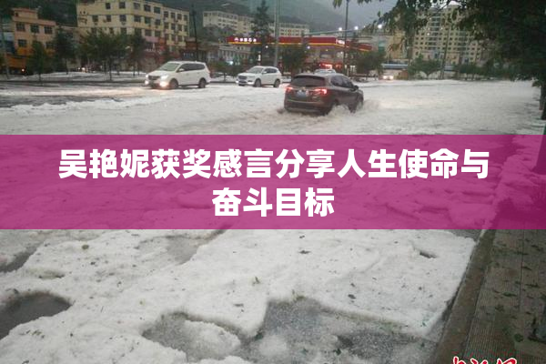 吴艳妮获奖感言分享人生使命与奋斗目标