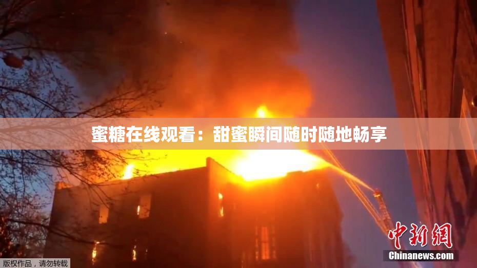 蜜糖在线观看：甜蜜瞬间随时随地畅享
