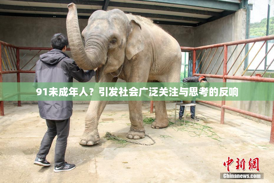 91未成年人？引发社会广泛关注与思考的反响