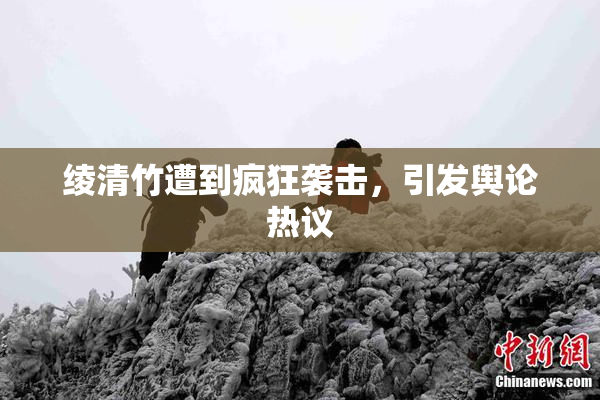 绫清竹遭到疯狂袭击，引发舆论热议