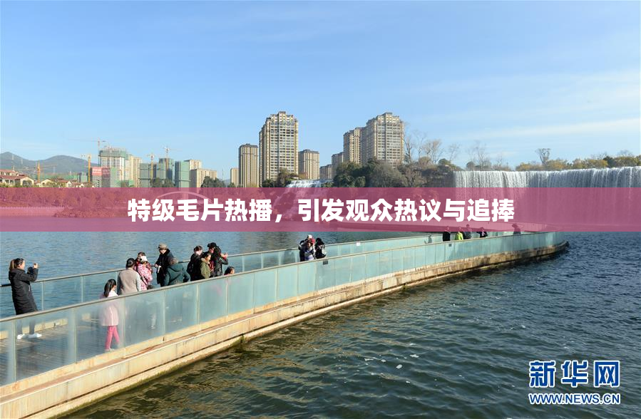 特级毛片热播，引发观众热议与追捧