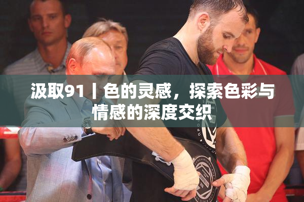 汲取91丨色的灵感，探索色彩与情感的深度交织