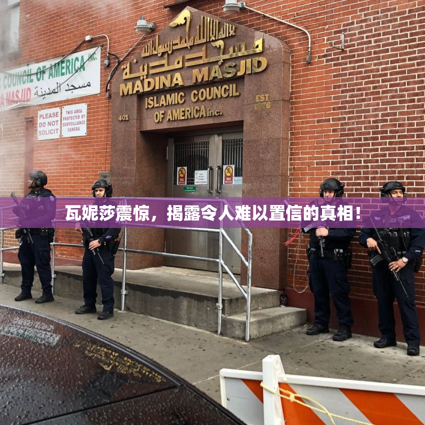 瓦妮莎震惊，揭露令人难以置信的真相！