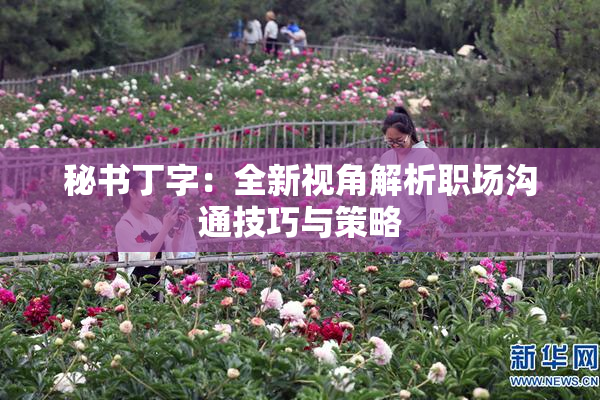 秘书丁字：全新视角解析职场沟通技巧与策略