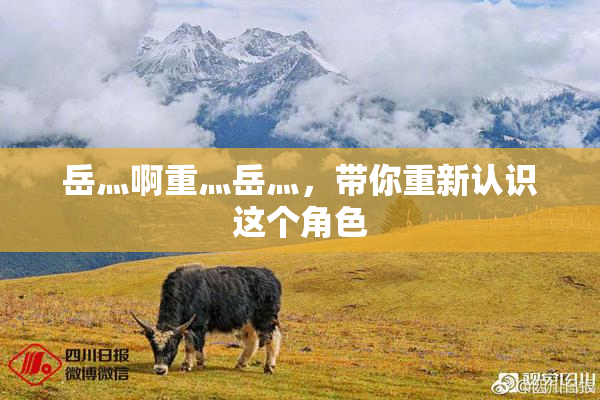 岳灬啊重灬岳灬，带你重新认识这个角色