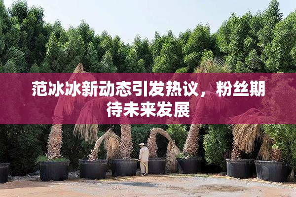 范冰冰新动态引发热议，粉丝期待未来发展