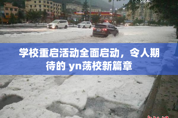 学校重启活动全面启动，令人期待的 yn荡校新篇章
