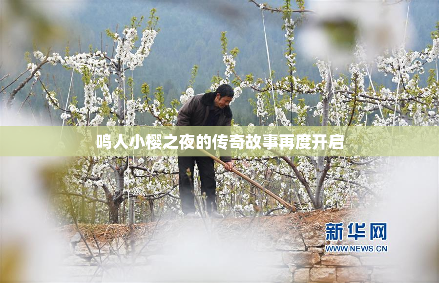 鸣人小樱之夜的传奇故事再度开启