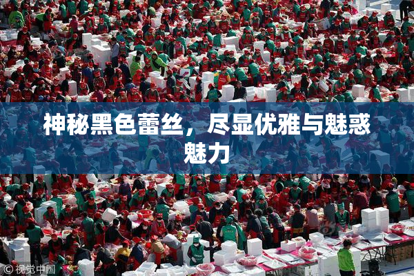 神秘黑色蕾丝，尽显优雅与魅惑魅力