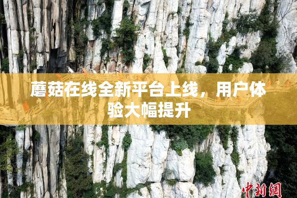 蘑菇在线全新平台上线，用户体验大幅提升