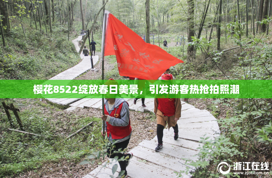 樱花8522绽放春日美景，引发游客热抢拍照潮