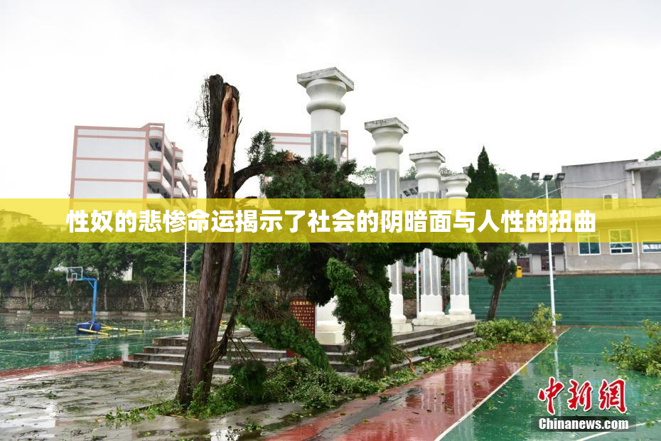 性奴的悲惨命运揭示了社会的阴暗面与人性的扭曲