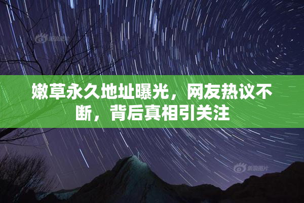 嫩草永久地址曝光，网友热议不断，背后真相引关注