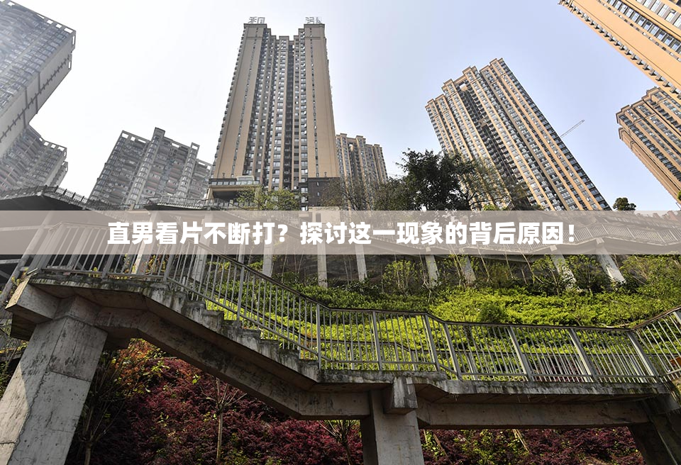 直男看片不断打？探讨这一现象的背后原因！