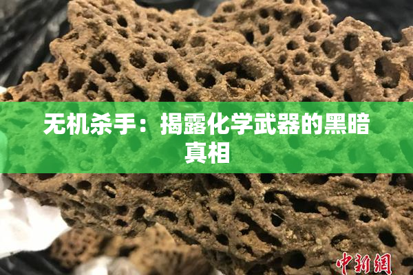 无机杀手：揭露化学武器的黑暗真相