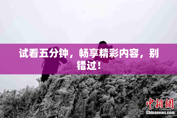 试看五分钟，畅享精彩内容，别错过！