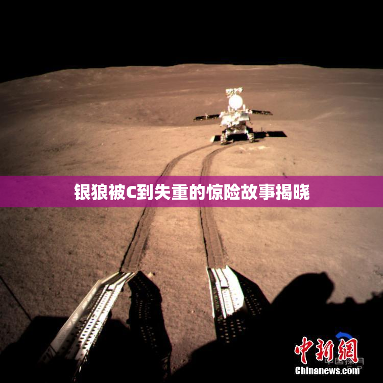 银狼被C到失重的惊险故事揭晓