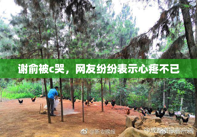 谢俞被c哭，网友纷纷表示心疼不已