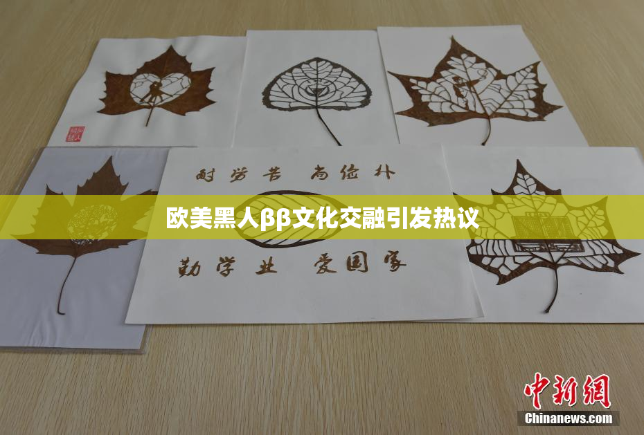 欧美黑人ββ文化交融引发热议
