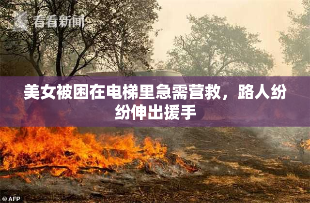 美女被困在电梯里急需营救，路人纷纷伸出援手
