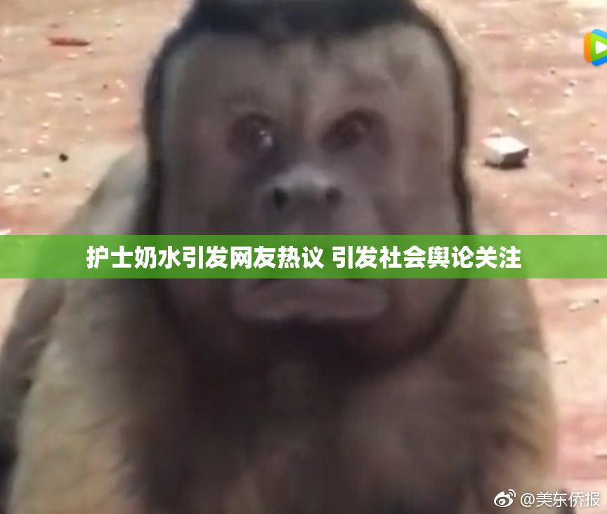 护士奶水引发网友热议 引发社会舆论关注