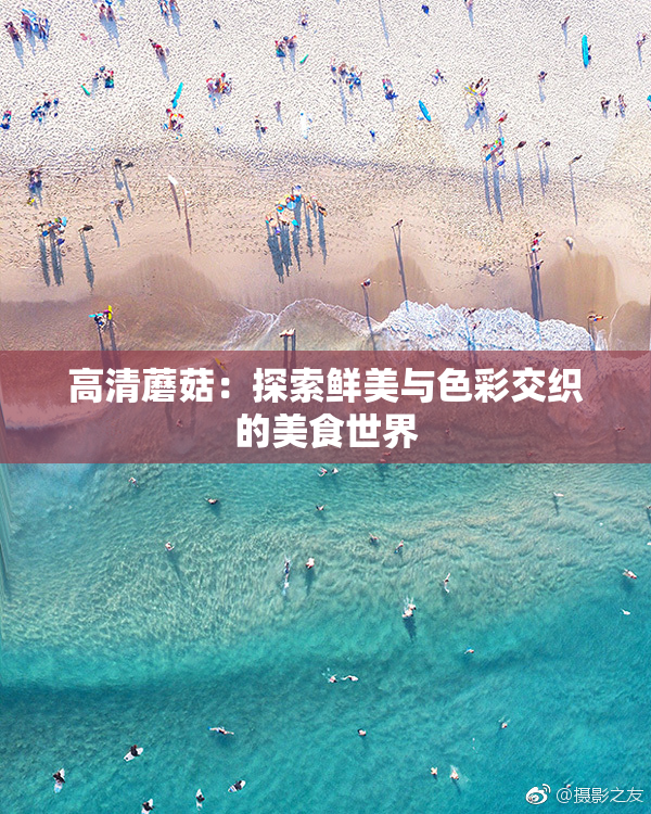 高清蘑菇：探索鲜美与色彩交织的美食世界