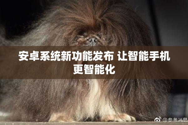 安卓系统新功能发布 让智能手机更智能化