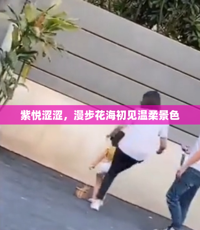 紫悦涩涩，漫步花海初见温柔景色