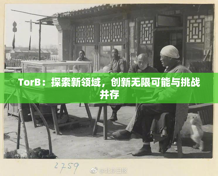 TorB：探索新领域，创新无限可能与挑战并存
