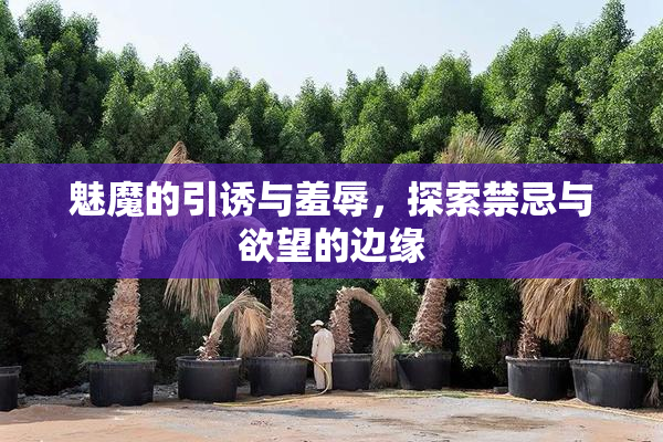 魅魔的引诱与羞辱，探索禁忌与欲望的边缘