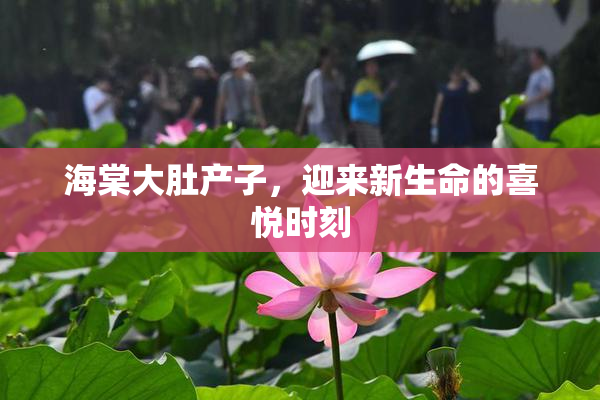 海棠大肚产子，迎来新生命的喜悦时刻