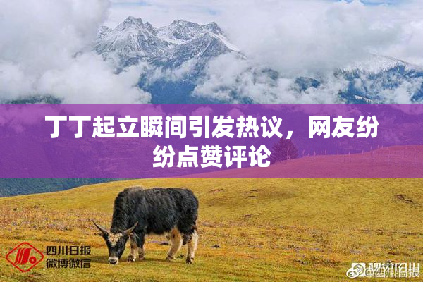 丁丁起立瞬间引发热议，网友纷纷点赞评论
