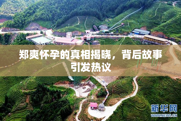 郑爽怀孕的真相揭晓，背后故事引发热议