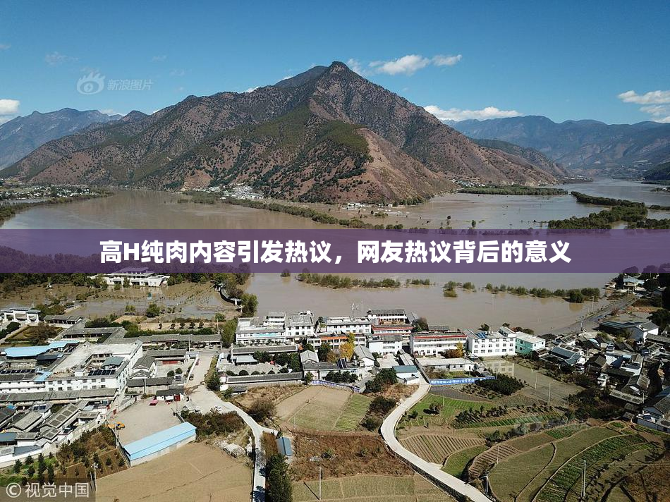 高H纯肉内容引发热议，网友热议背后的意义