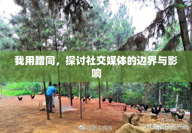 我用蹭同，探讨社交媒体的边界与影响