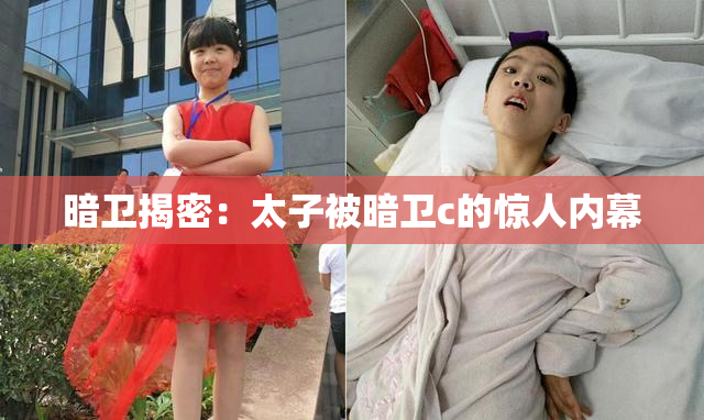暗卫揭密：太子被暗卫c的惊人内幕