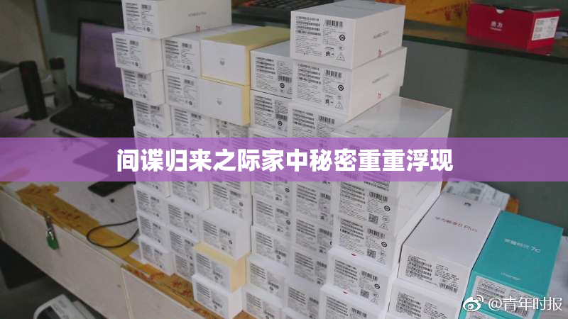 间谍归来之际家中秘密重重浮现