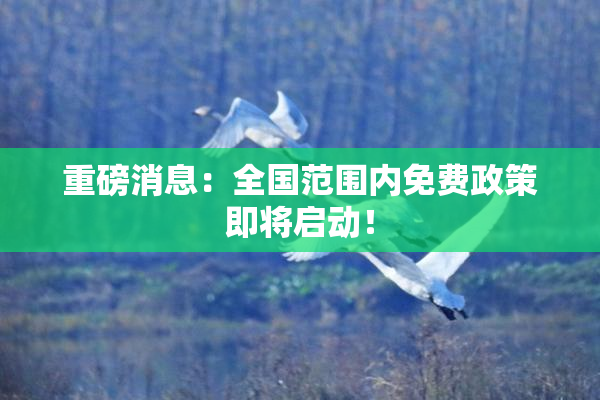 重磅消息：全国范围内免费政策即将启动！