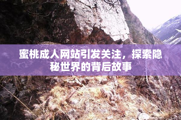 蜜桃成人网站引发关注，探索隐秘世界的背后故事