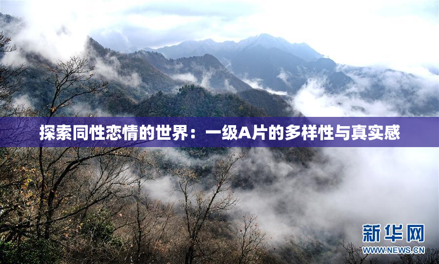 探索同性恋情的世界：一级A片的多样性与真实感