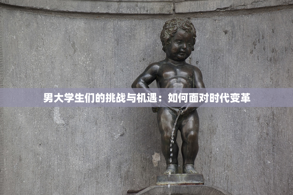 男大学生们的挑战与机遇：如何面对时代变革