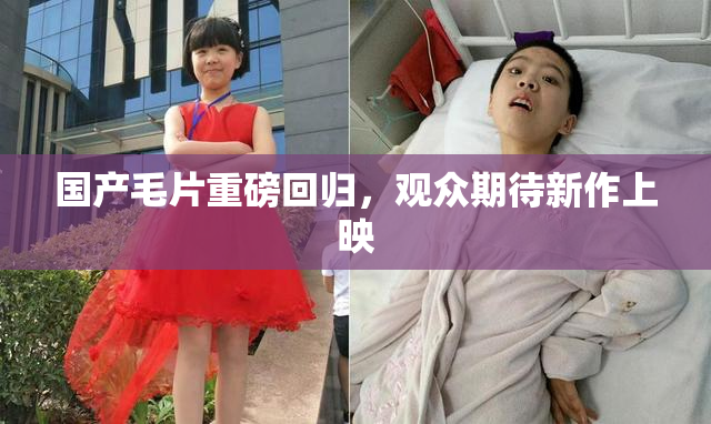 国产毛片重磅回归，观众期待新作上映