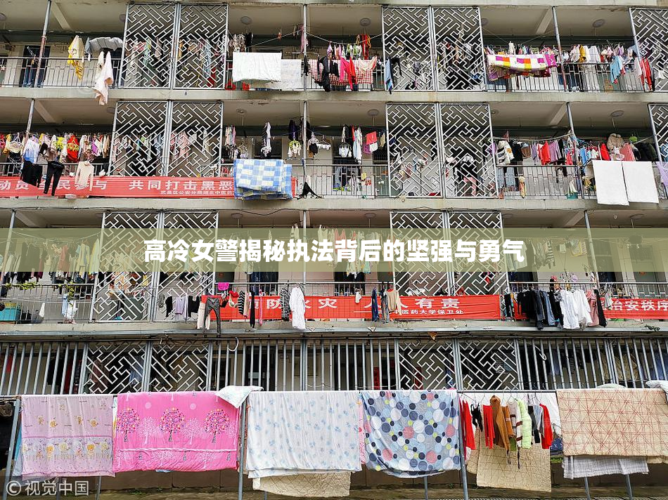 高冷女警揭秘执法背后的坚强与勇气