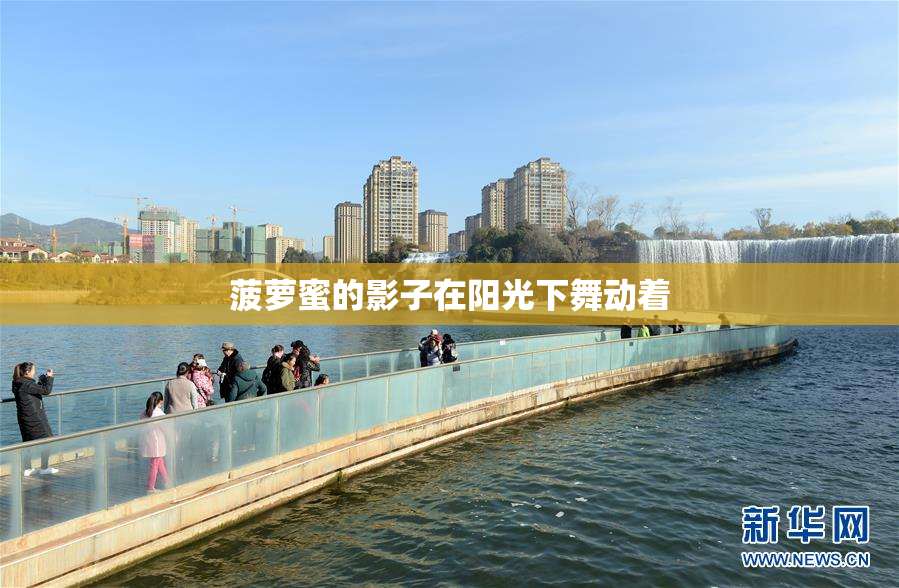 菠萝蜜的影子在阳光下舞动着