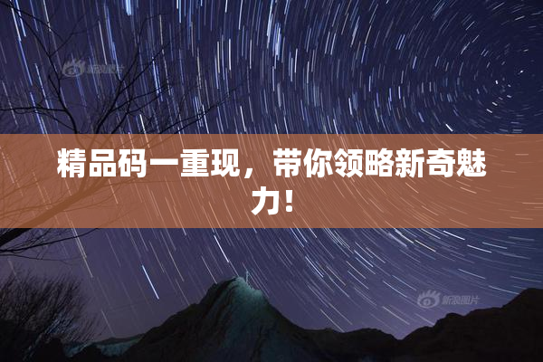 精品码一重现，带你领略新奇魅力！