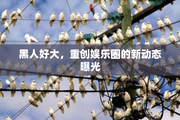 黑人好大，重创娱乐圈的新动态曝光
