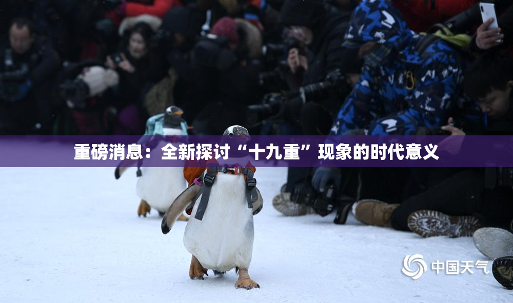 重磅消息：全新探讨“十九重”现象的时代意义