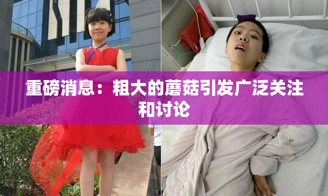重磅消息：粗大的蘑菇引发广泛关注和讨论